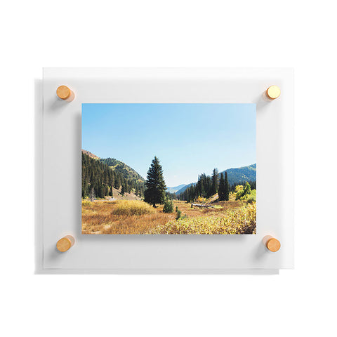 Chelsea Victoria Mountain Tail Floating Acrylic Print