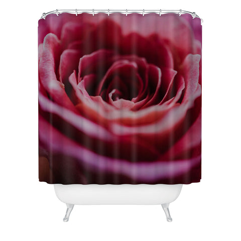 Chelsea Victoria Ombre Rose Shower Curtain