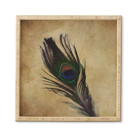 Chelsea Victoria Peacock Feather 2 Framed Wall Art