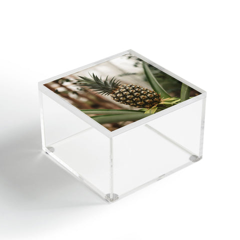Chelsea Victoria Pick A Pineapple Acrylic Box