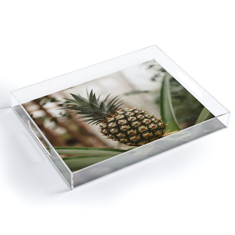 Chelsea Victoria Pick A Pineapple Acrylic Tray