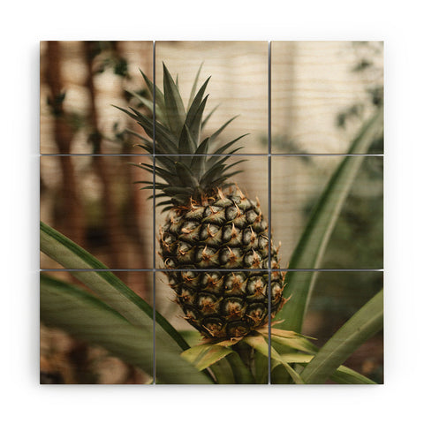 Chelsea Victoria Pick A Pineapple Wood Wall Mural
