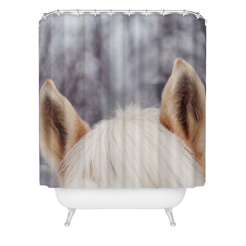 Chelsea Victoria Pony Baby Shower Curtain