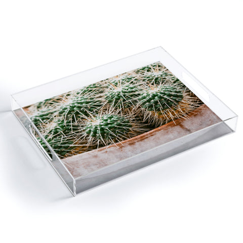 Chelsea Victoria Potted Cactus Acrylic Tray