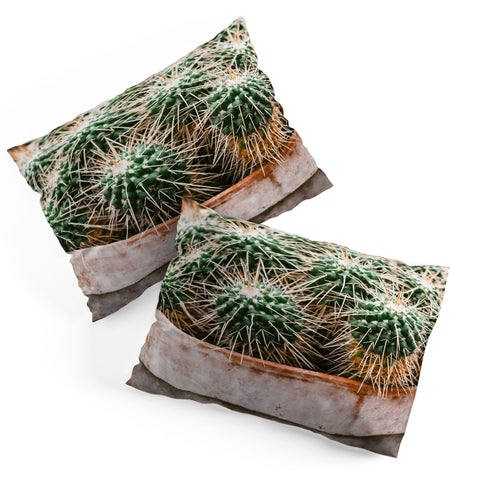 Chelsea Victoria Potted Cactus Pillow Shams
