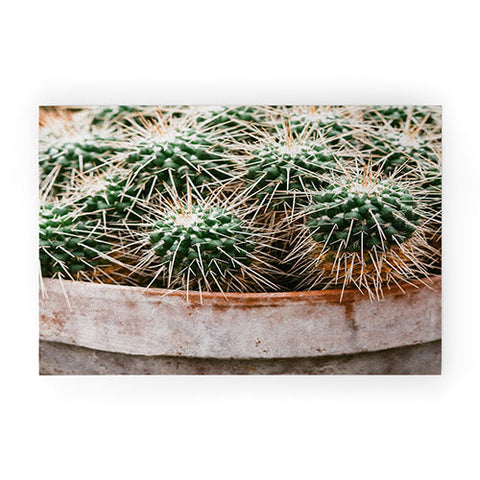 Chelsea Victoria Potted Cactus Welcome Mat