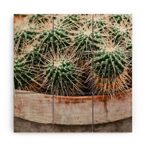 Chelsea Victoria Potted Cactus Wood Wall Mural