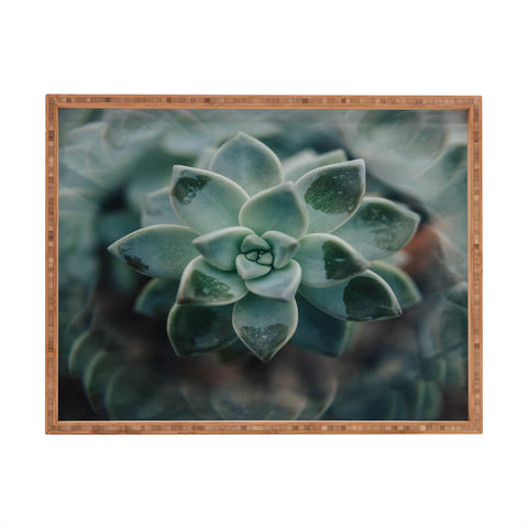 Chelsea Victoria Psychedelic Succulent Rectangular Tray
