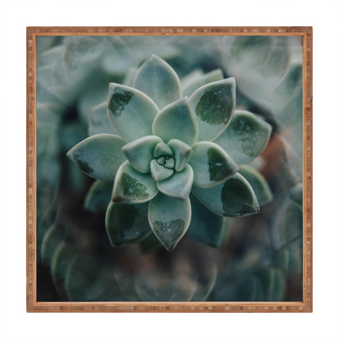 Chelsea Victoria Psychedelic Succulent Square Tray