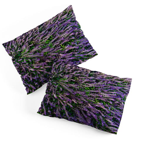 Chelsea Victoria Purple Gardens Pillow Shams