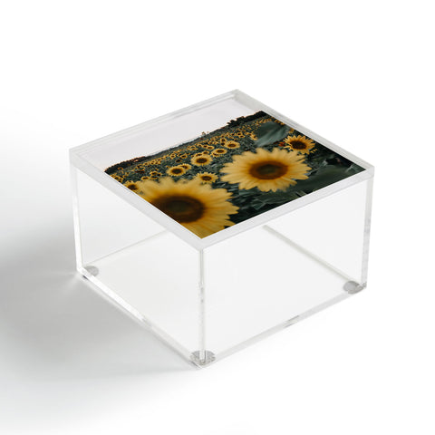Chelsea Victoria Root and Bloom Acrylic Box