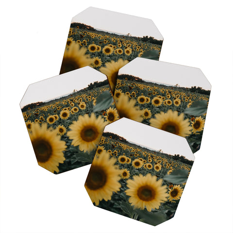 Chelsea Victoria Root and Bloom Coaster Set