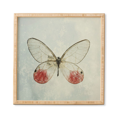 Chelsea Victoria Shades Of Butterfly Framed Wall Art