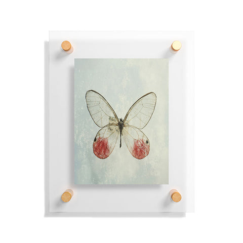 Chelsea Victoria Shades Of Butterfly Floating Acrylic Print