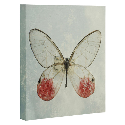 Chelsea Victoria Shades Of Butterfly Art Canvas