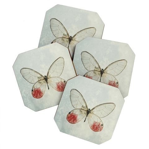 Chelsea Victoria Shades Of Butterfly Coaster Set