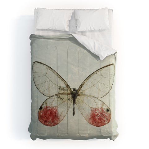Chelsea Victoria Shades Of Butterfly Comforter