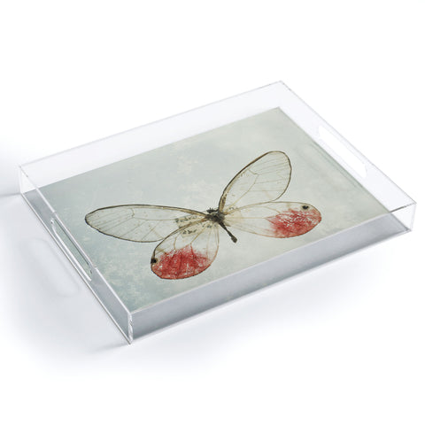 Chelsea Victoria Shades Of Butterfly Acrylic Tray