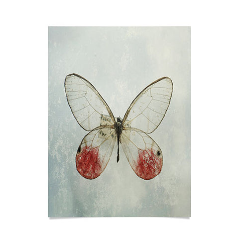 Chelsea Victoria Shades Of Butterfly Poster