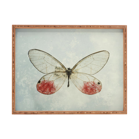 Chelsea Victoria Shades Of Butterfly Rectangular Tray