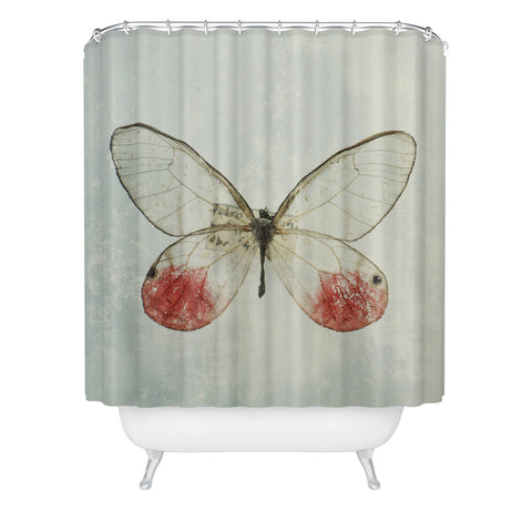 Chelsea Victoria Shades Of Butterfly Shower Curtain