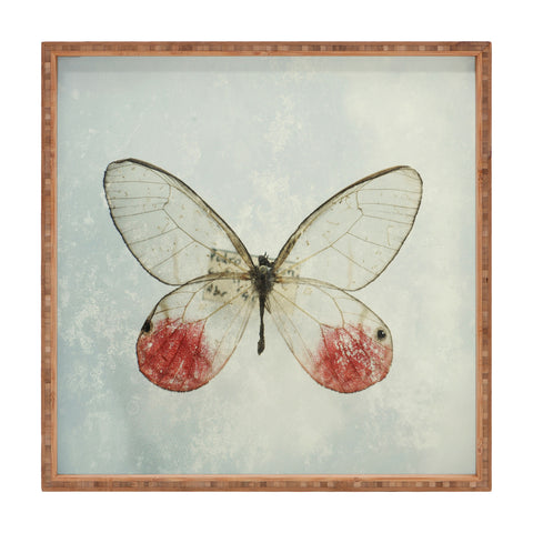 Chelsea Victoria Shades Of Butterfly Square Tray