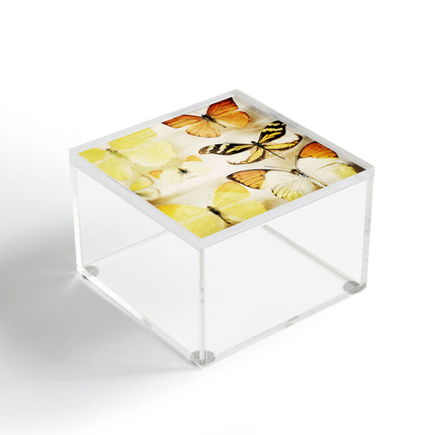 Chelsea Victoria Sherbert Dreams Acrylic Box