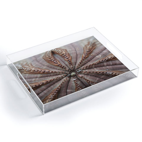 Chelsea Victoria Succulent Lace Acrylic Tray