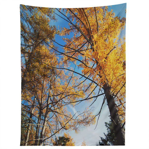 Chelsea Victoria The Autumn Sky Tapestry