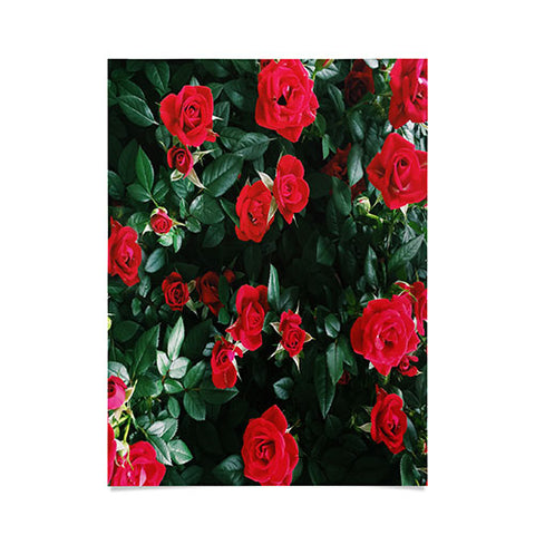 Chelsea Victoria The Bel Air Rose Garden Poster