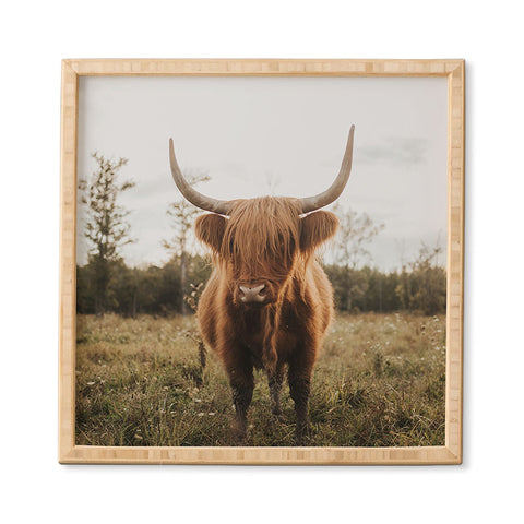 Chelsea Victoria The Curious Highland Cow Framed Wall Art