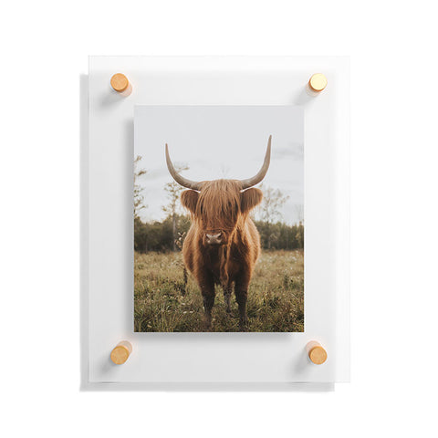 Chelsea Victoria The Curious Highland Cow Floating Acrylic Print