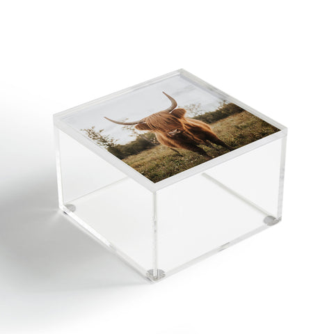 Chelsea Victoria The Curious Highland Cow Acrylic Box