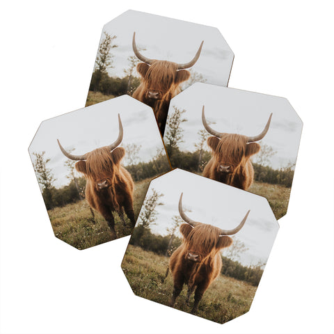 Chelsea Victoria The Curious Highland Cow Coaster Set