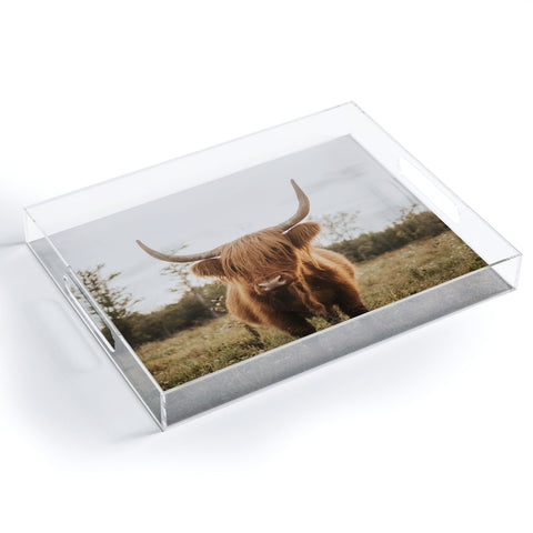 Chelsea Victoria The Curious Highland Cow Acrylic Tray