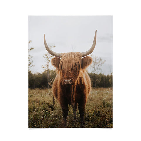 Chelsea Victoria The Curious Highland Cow Poster
