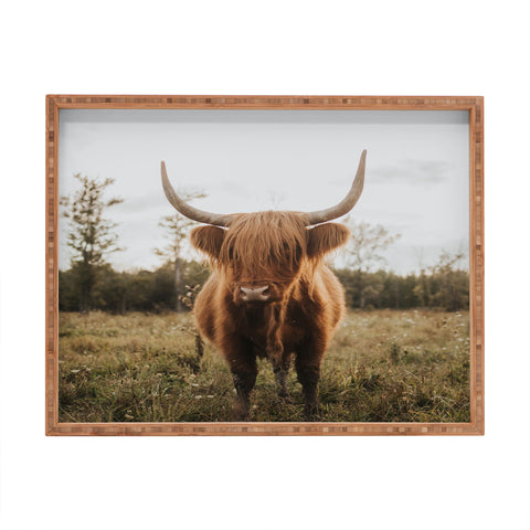 Chelsea Victoria The Curious Highland Cow Rectangular Tray