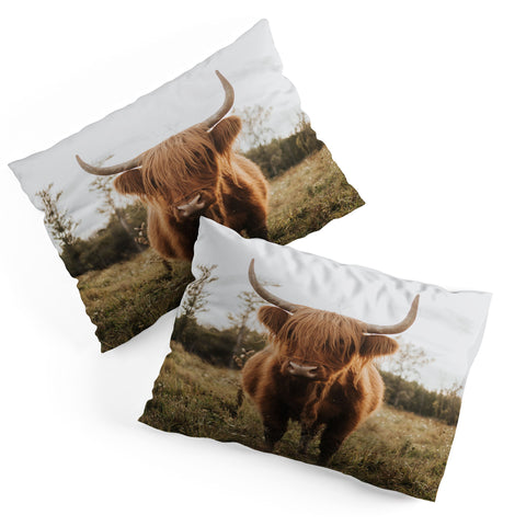 Chelsea Victoria The Curious Highland Cow Pillow Shams