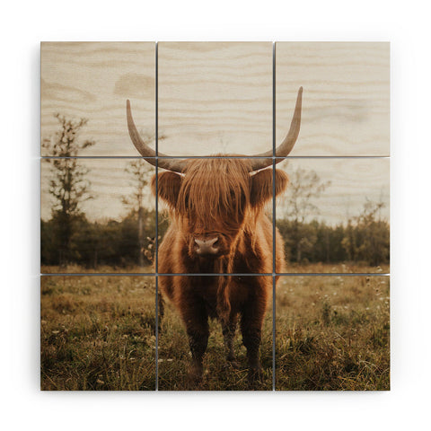 Chelsea Victoria The Curious Highland Cow Wood Wall Mural