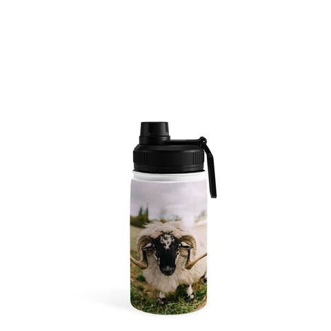 Chelsea Victoria The Curious Sheep Water Bottle