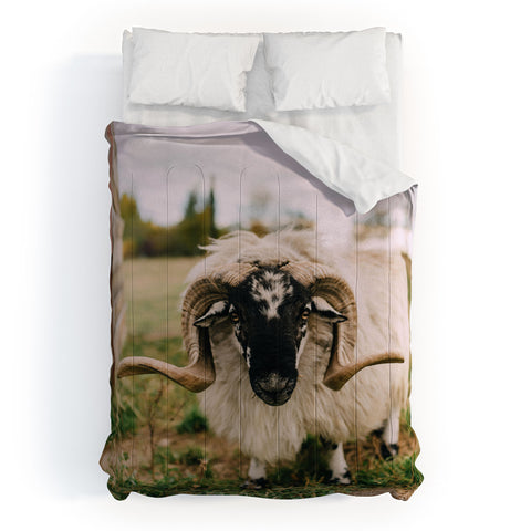 Chelsea Victoria The Curious Sheep Comforter