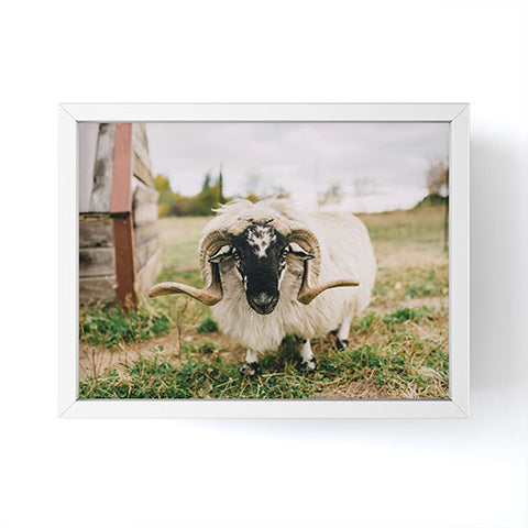 Chelsea Victoria The Curious Sheep Framed Mini Art Print