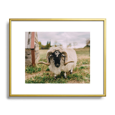 Chelsea Victoria The Curious Sheep Metal Framed Art Print