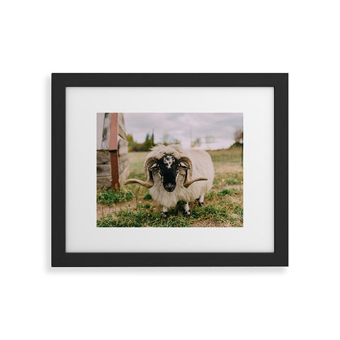 Chelsea Victoria The Curious Sheep Framed Art Print