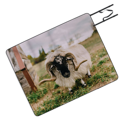 Chelsea Victoria The Curious Sheep Picnic Blanket