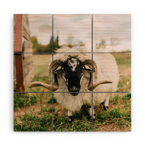Chelsea Victoria The Curious Sheep Wood Wall Mural