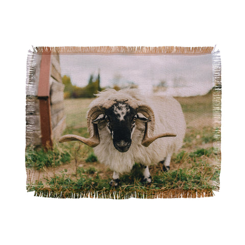 Chelsea Victoria The Curious Sheep Throw Blanket