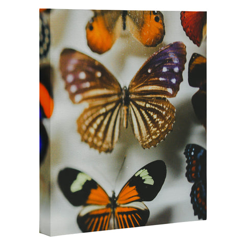 Chelsea Victoria The Fairy Collection Art Canvas