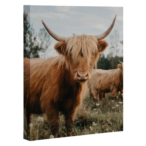 Chelsea Victoria The Furry Highland Cow Art Canvas