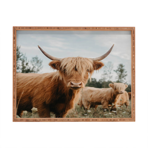 Chelsea Victoria The Furry Highland Cow Rectangular Tray
